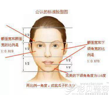 脸型漂亮程度排名，你是不是较美的那一种脸