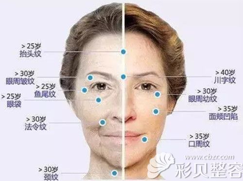 面部纹理图