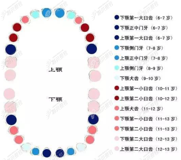 用儿童做牙齿矫正的黄金年龄告诉你换牙期能不能做正畸