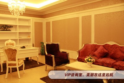 上海愉悦美联臣医疗美容医院上海美联臣整形医院VIP咨询室