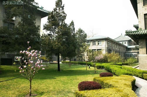 北京协和医院整形美容外科中心东院西花园