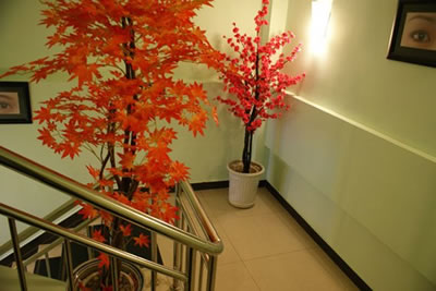 北京清木整形美容医院北京清木整形一角