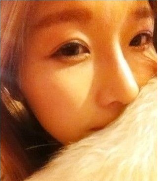 用的进口硅胶 耳软骨