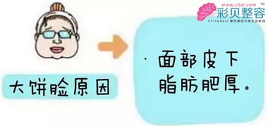 大饼脸的原因卡通图