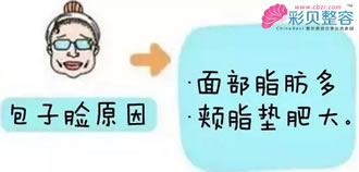 包子脸的原因卡通图