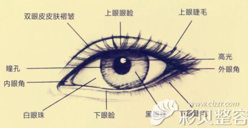 北京京都时尚眼综合解决的眼部问题