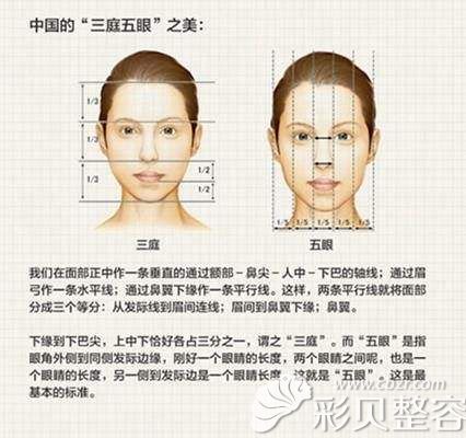 三庭五眼标准比例图