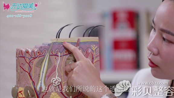 北京柏丽张继平现场用模型为你演示透明层