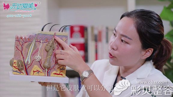 张继平现场用模型为你演示皮肤表皮各层的结构