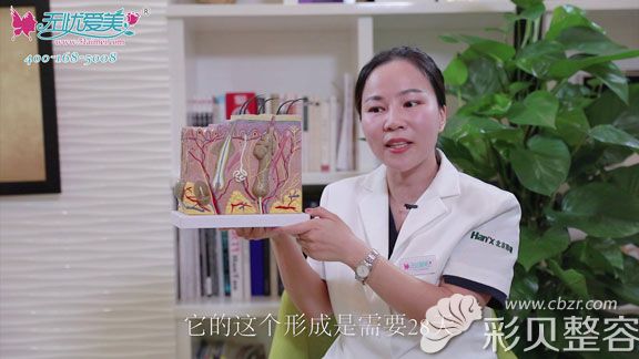 听张继平说皮肤损伤后的形成需要28天 听张继平说皮肤损伤后的形成需要28天