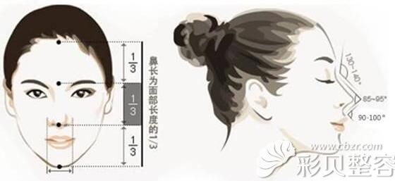 张哲医生给出美鼻标准 张哲医生给出美鼻标准