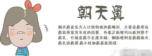 张哲分享什么是朝天鼻 张哲分享什么是朝天鼻