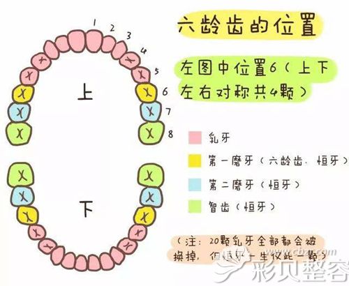 六龄齿为什么要做牙齿窝沟封闭上海玫瑰黄锦英主任解答