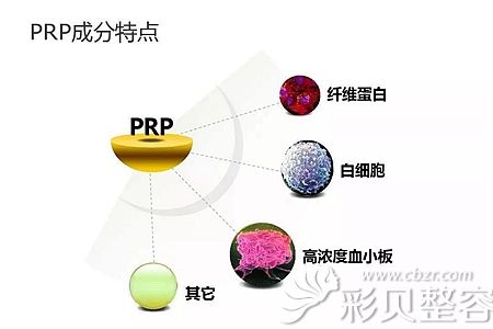 PRP自体血清中包含的成分
