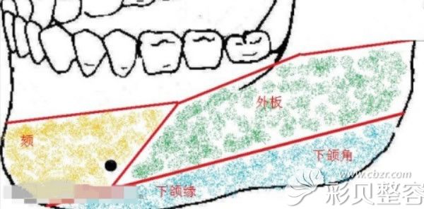 下颌角外板在哪个位置