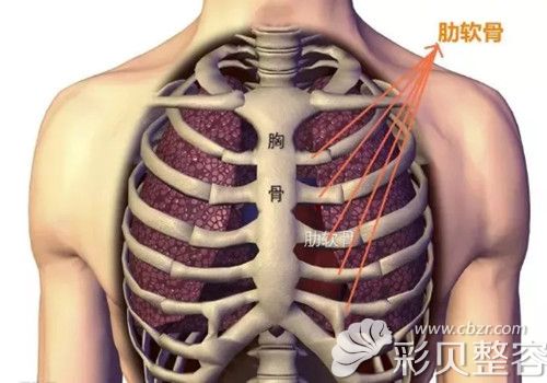 薛克墘说取自体肋软骨疤痕不大