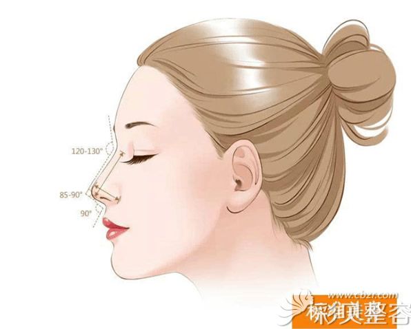 什么样的鼻子才好看