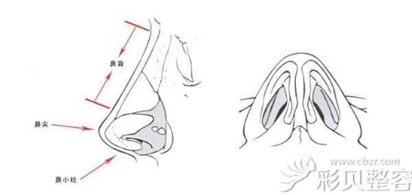 黄晓东医生做隆鼻手术的技术优势