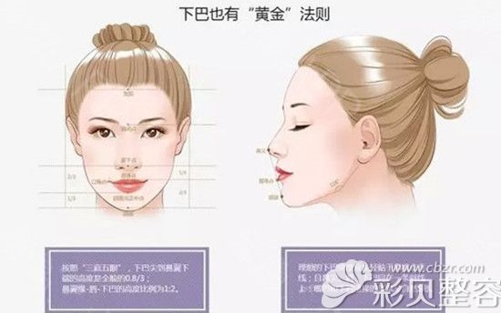 漂亮下巴标准示意图