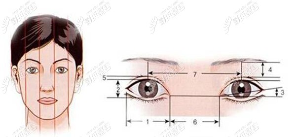 杨彦刚医生做切开双眼皮的技术优势