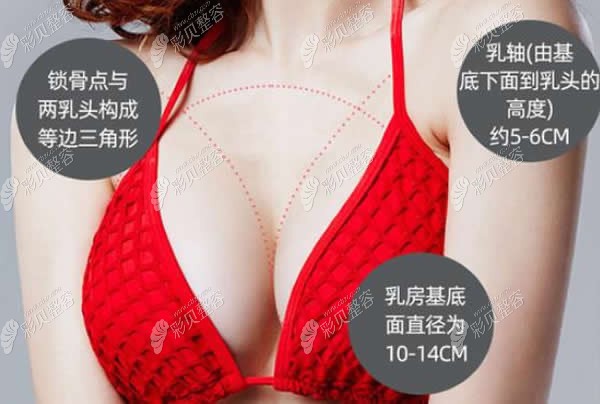 西安画美整形假体隆胸美学标准