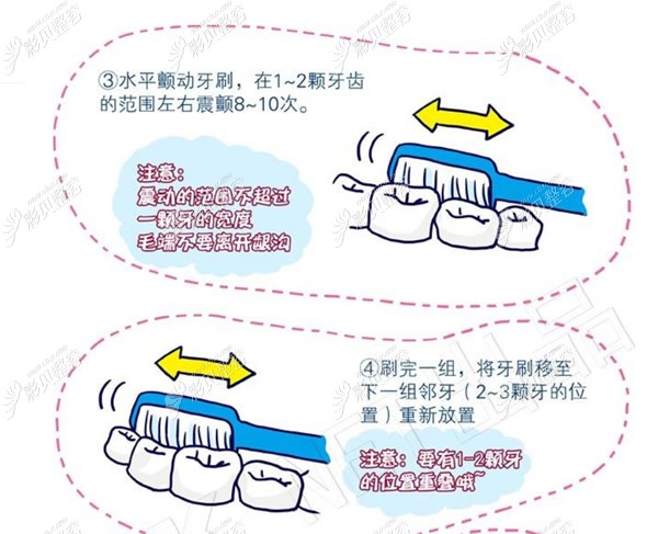 巴氏刷牙法步骤图解