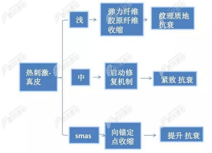 美莱热拉提原理