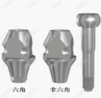 登特斯的六角结构