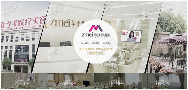 武汉新至美医疗美容有四家分院