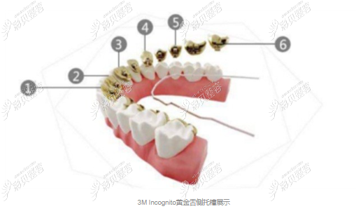 美国3M排名第五