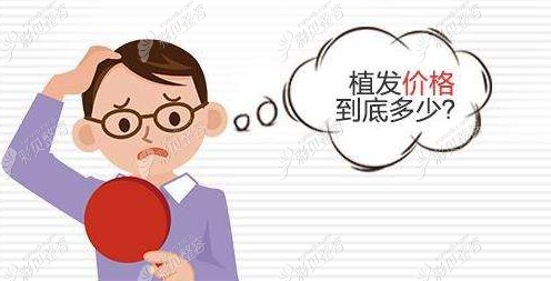 种3000个毛囊和3000根头发的价格一样吗