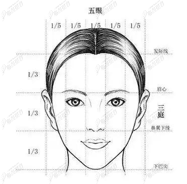 人物三庭五眼比例画法图片