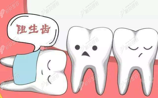 拔智齿多少钱一颗2021价格表