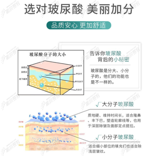 大分子小分子玻尿酸的作用