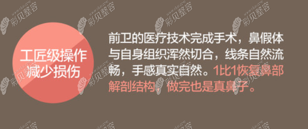 深圳鹏程刘冰擅长做的鼻型自然