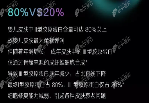 三型胶原蛋白的重要性