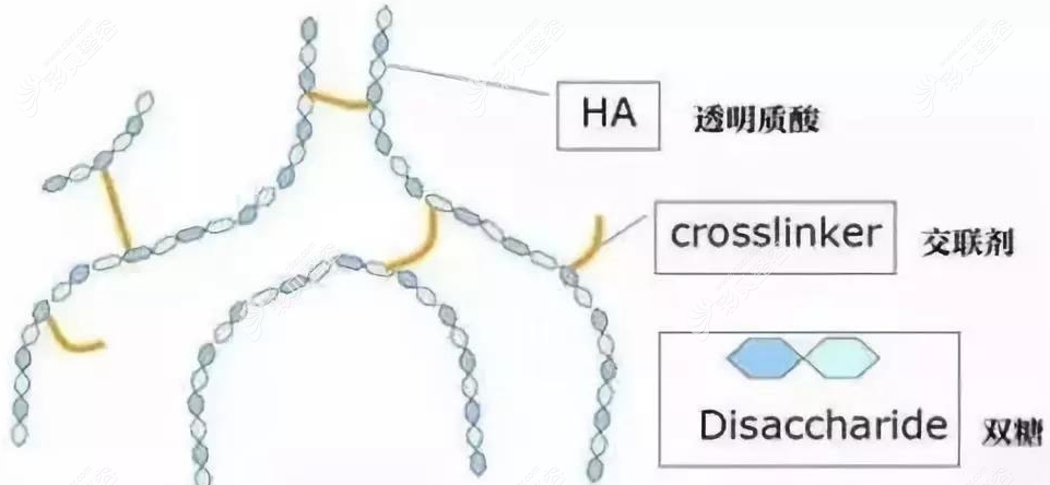 凝胶型玻尿酸和颗粒型玻尿酸交联程度不一样 凝胶型玻尿酸和颗粒型玻尿酸交联程度不一样