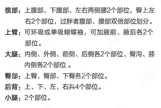 酷塑冷冻溶脂具体操作部位划分明细