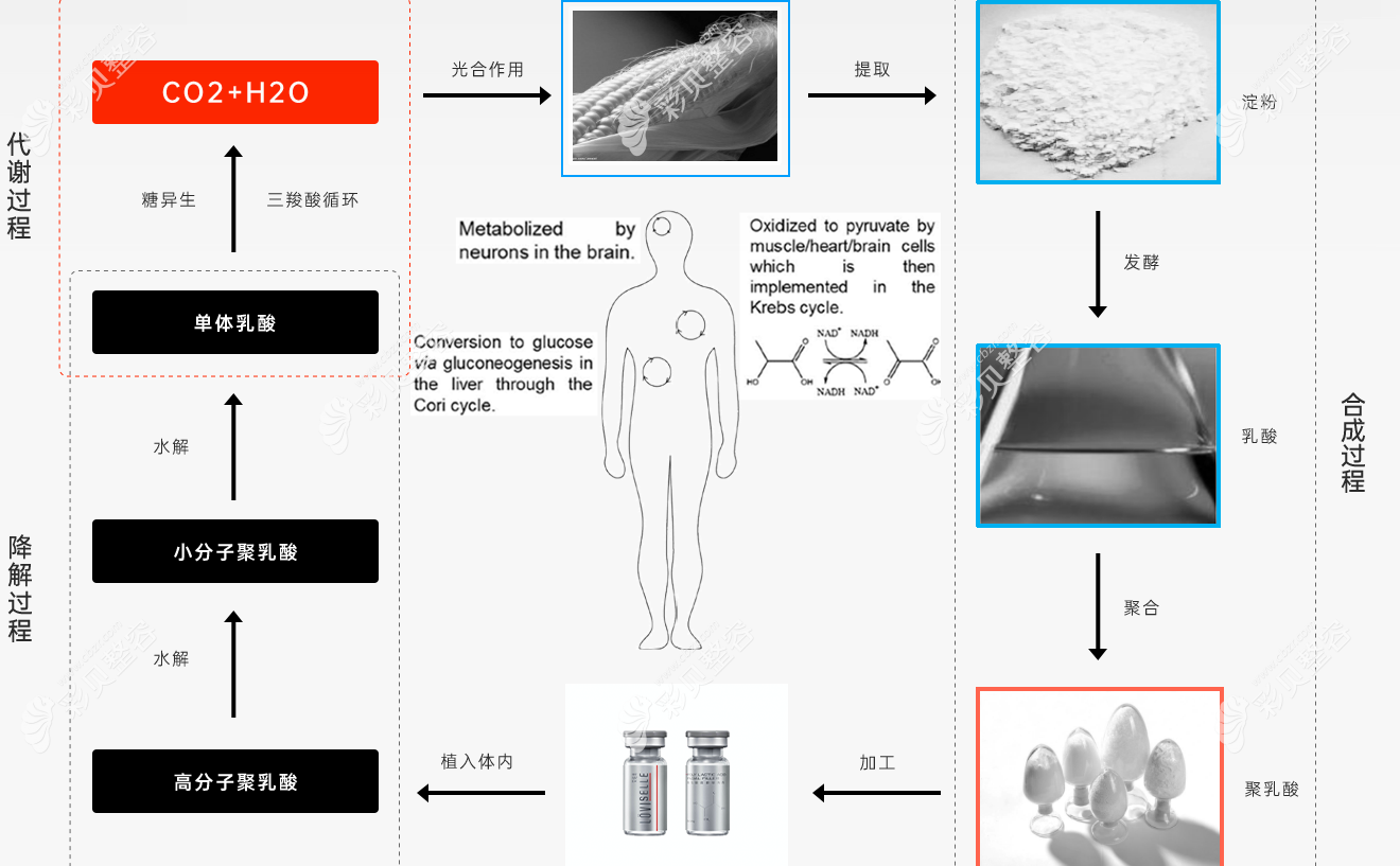 艾维岚童颜针注射过程