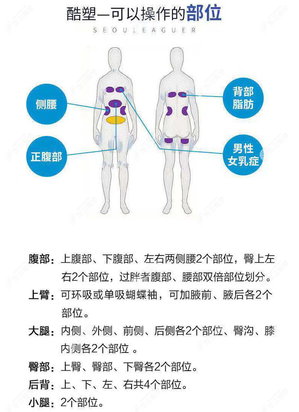 深圳美莱做酷塑冷冻溶脂可操作的部位