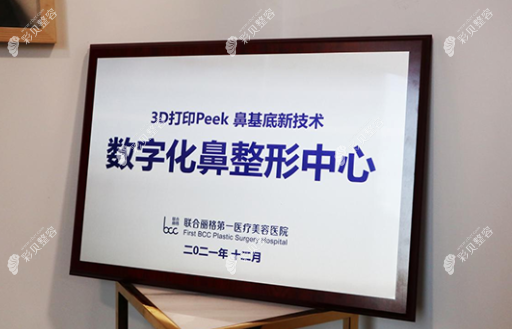 peek材料填充鼻假体