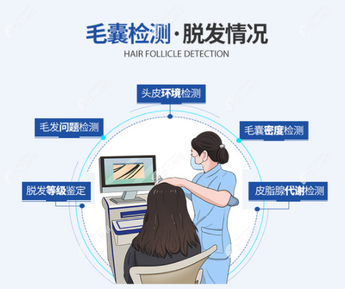 青岛大麦微针植发能做毛囊检测