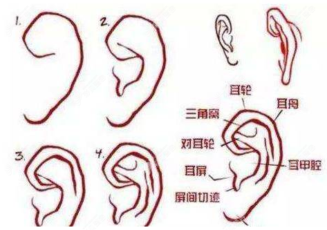 耳再造手术是怎么做的 耳再造手术是怎么做的