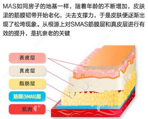 做拉皮手术剥离的皮肤层次有这些