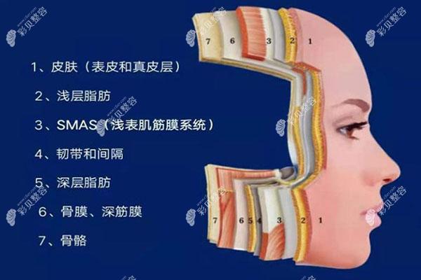面部层次