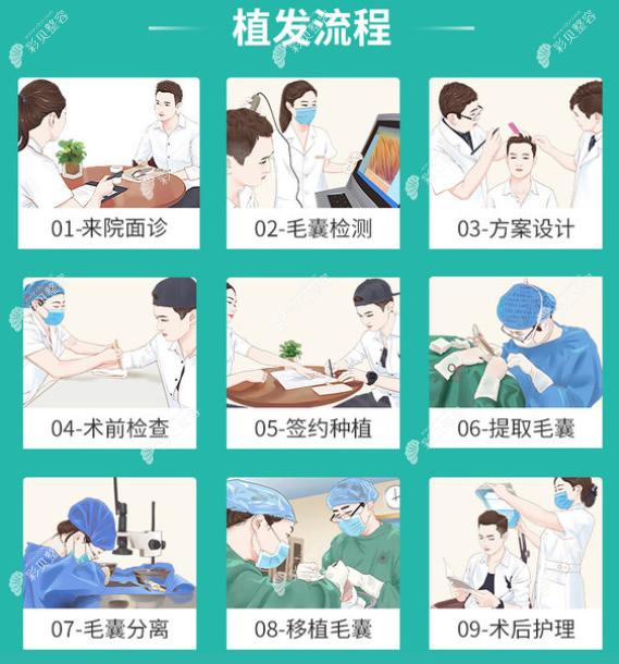 植发的过程和步骤图解