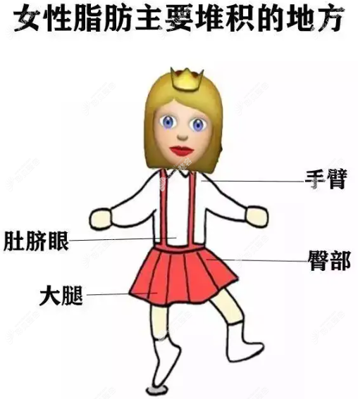 女性脂肪主要堆积的地方