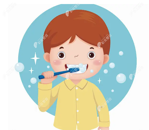 横向刷牙容易导致牙龈萎缩哦