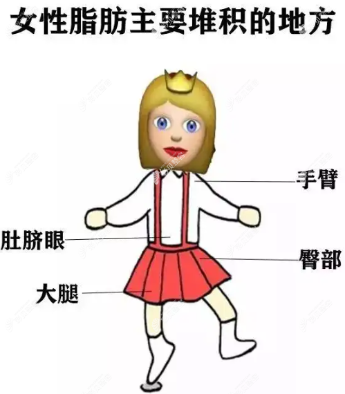 女生脂肪主要堆积在哪些地方