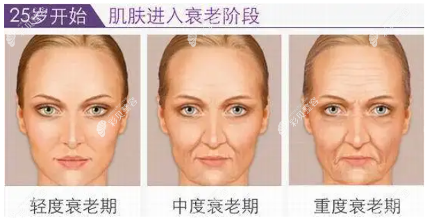 面部衰老进程